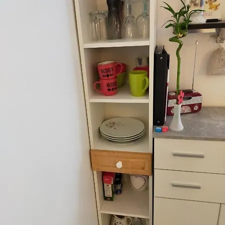 St Gregoire Au Pied Des Vosges Et Vignoble !