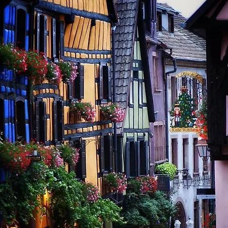 St Gregoire Au Pied Des Vosges Et Vignoble ! Apartmán Munster (Haut-Rhin)