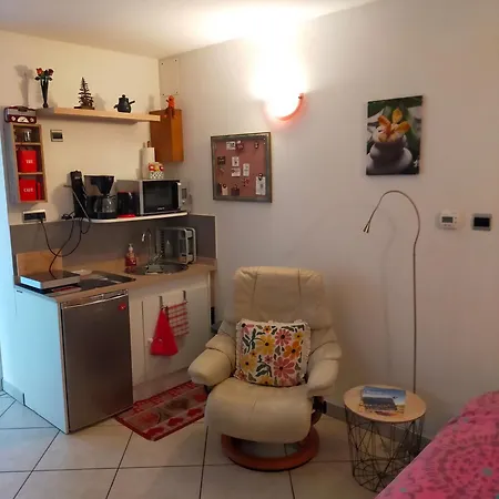 St Gregoire Au Pied Des Vosges Et Vignoble ! Appartement