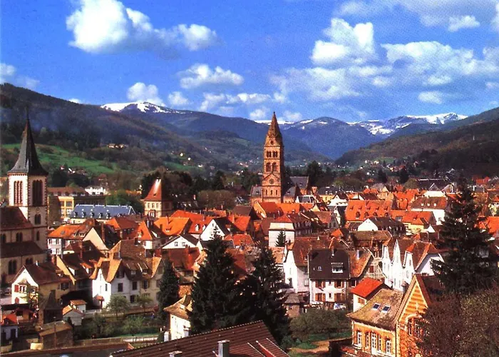 St Gregoire Au Pied Des Vosges Et Vignoble ! شقة