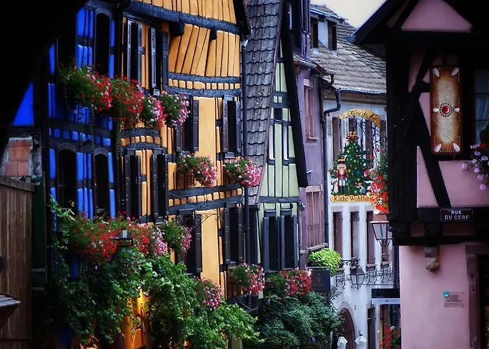 St Gregoire Au Pied Des Vosges Et Vignoble ! Appartement Munster (Haut-Rhin)